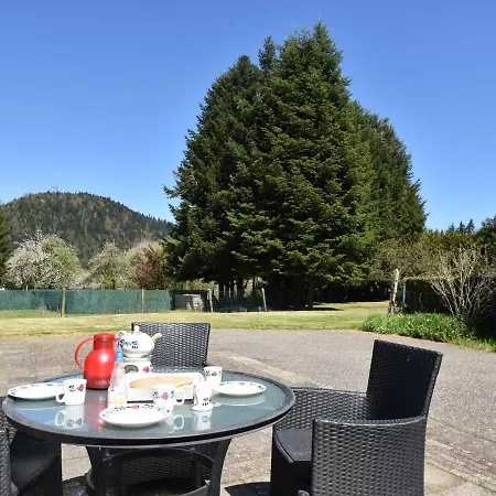 Spacious With Sauna In Celles Sur Plaine Semesterbostad *