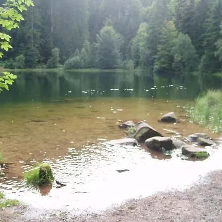 Spacious With Sauna In Celles Sur Plaine Semesterbostad