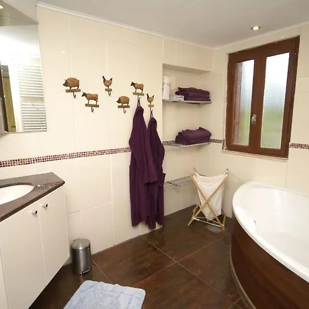 Semesterbostad Spacious With Sauna In Celles Sur Plaine *