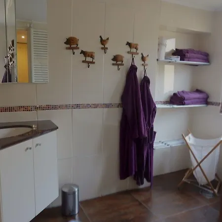 Spacious With Sauna In Celles Sur Plaine Eguisheim