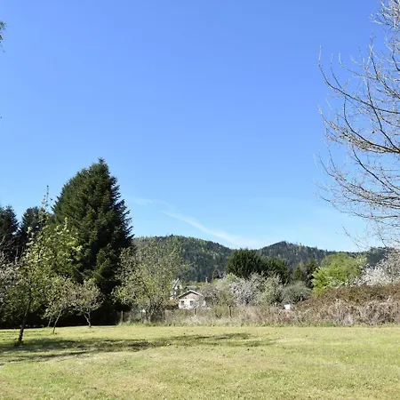 Spacious With Sauna In Celles Sur Plaine